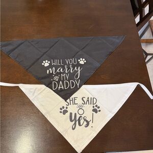 Black and White Dog Bandanas with Proposal Text
